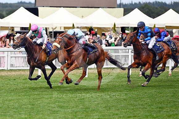 Giavellotto977ROYAL_ASCOT