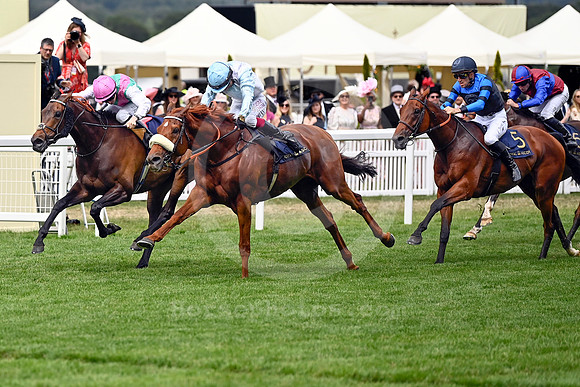 Giavellotto978ROYAL_ASCOT