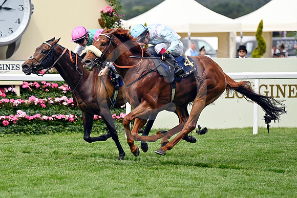 Giavellotto979ROYAL_ASCOT