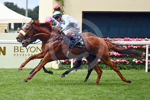 Giavellotto980ROYAL_ASCOT