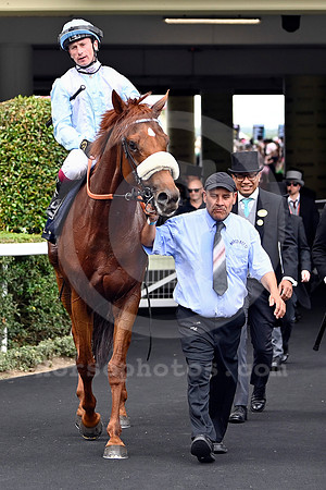 Giavellotto981ROYAL_ASCOT
