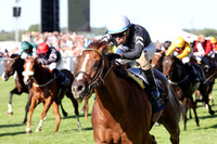 Bacio583ROYAL_ASCOT
