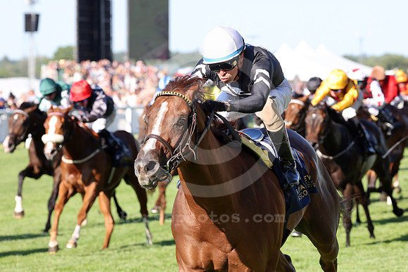 Bacio583ROYAL_ASCOT