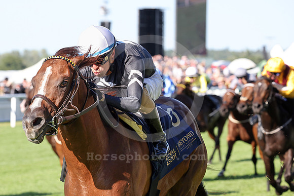 Bacio584ROYAL_ASCOT
