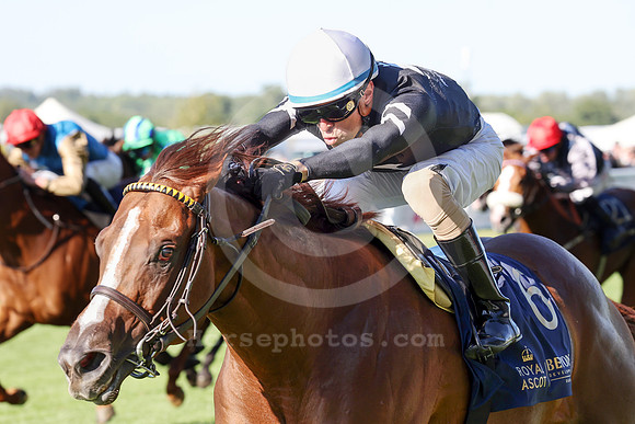 Bacio585ROYAL_ASCOT