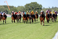 Bacio581ROYAL_ASCOT
