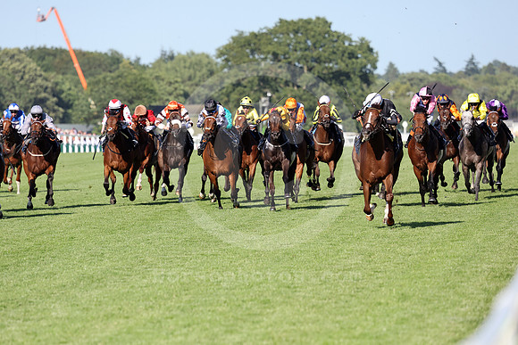 Bacio581ROYAL_ASCOT
