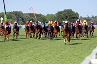 Bacio582ROYAL_ASCOT