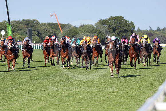 Bacio582ROYAL_ASCOT