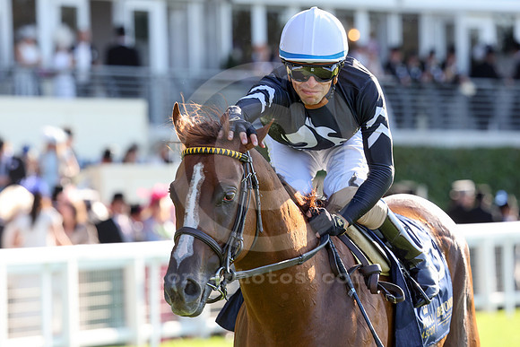 Bacio586ROYAL_ASCOT