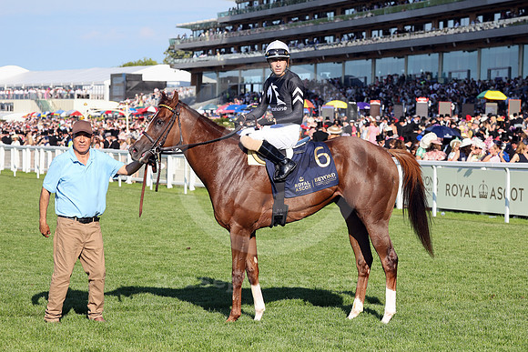 Bacio587ROYAL_ASCOT