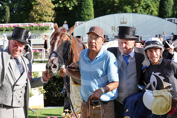 Bacio591ROYAL_ASCOT