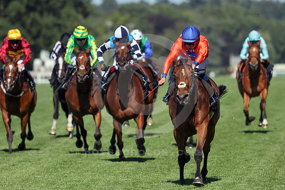 Green Carrera567ROYAL_ASCOT