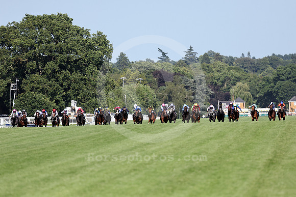 Green Carrera565ROYAL_ASCOT