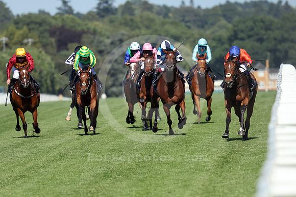 Green Carrera566ROYAL_ASCOT