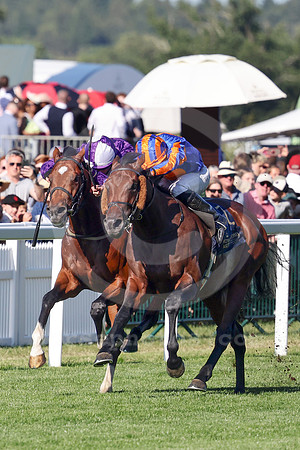 Green Carrera572ROYAL_ASCOT