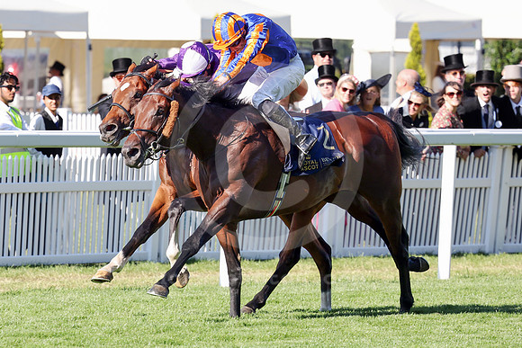 Green Carrera573ROYAL_ASCOT