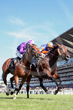 Green Carrera578ROYAL_ASCOT