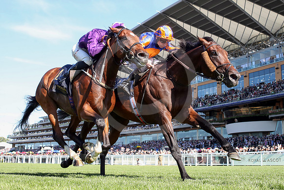 Green Carrera579ROYAL_ASCOT