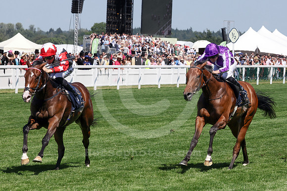 Libertango504ROYAL_ASCOT