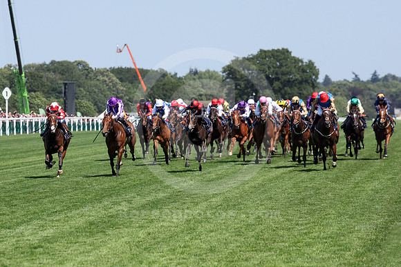 Libertango503ROYAL_ASCOT