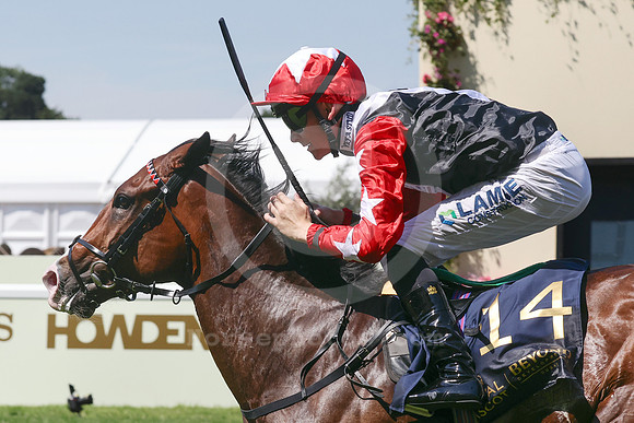 Libertango505ROYAL_ASCOT