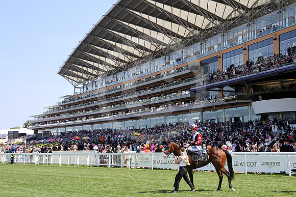 Libertango509ROYAL_ASCOT