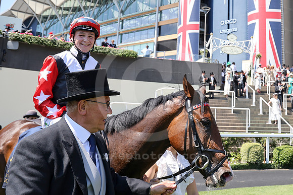 Libertango511ROYAL_ASCOT
