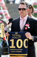 aiden_obrien578ROYAL_ASCOT