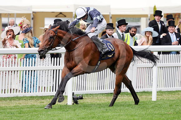 Enceladus541ROYAL_ASCOT