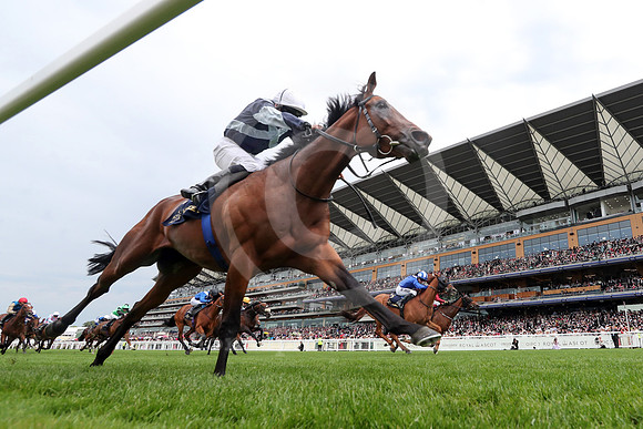 Enceladus553ROYAL_ASCOT