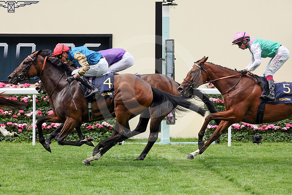 Enceladus559ROYAL_ASCOT