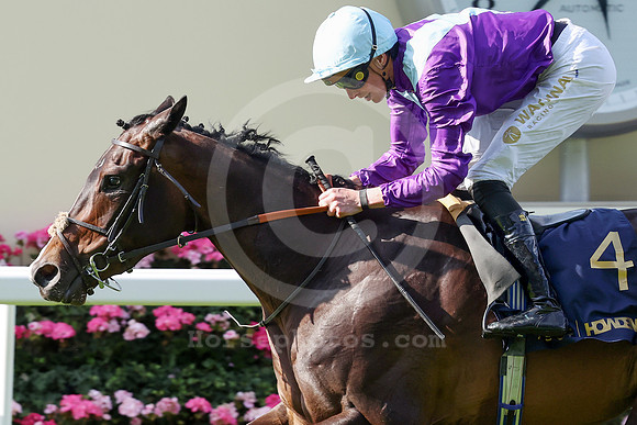 Generic589ROYAL_ASCOT