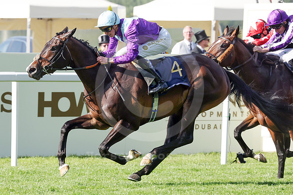 Generic587ROYAL_ASCOT