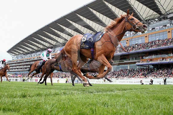 Lady Roisia558ROYAL_ASCOT