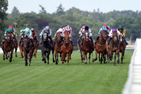 Alobayyah605ROYAL_ASCOT