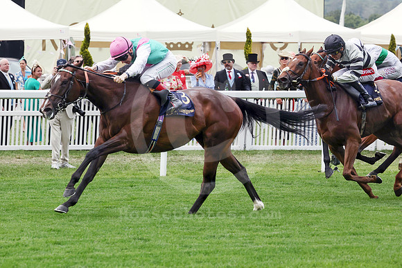 Blue Bolt552ROYAL_ASCOT
