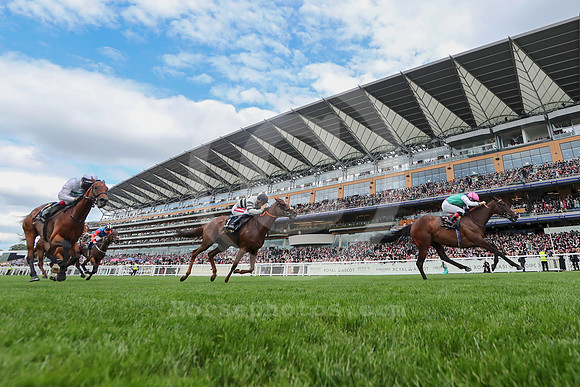 Blue Bolt555ROYAL_ASCOT