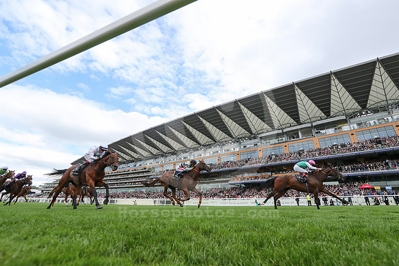 Blue Bolt557ROYAL_ASCOT