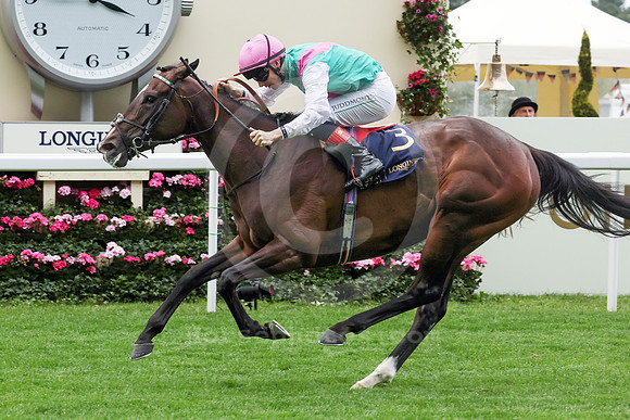 Blue Bolt556ROYAL_ASCOT
