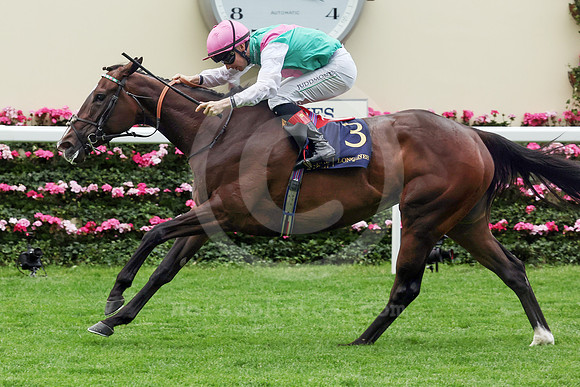 Blue Bolt558ROYAL_ASCOT