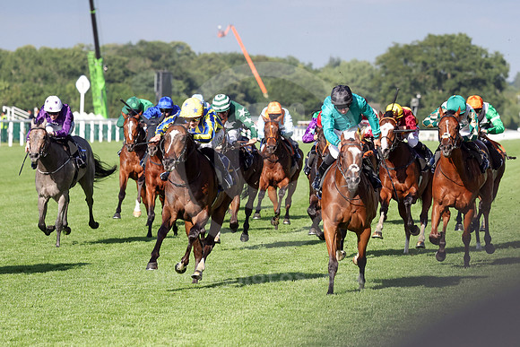 King Of Cloughan 609ROYAL_ASCOT