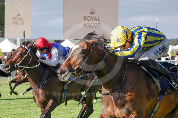 King Of Cloughan 611ROYAL_ASCOT