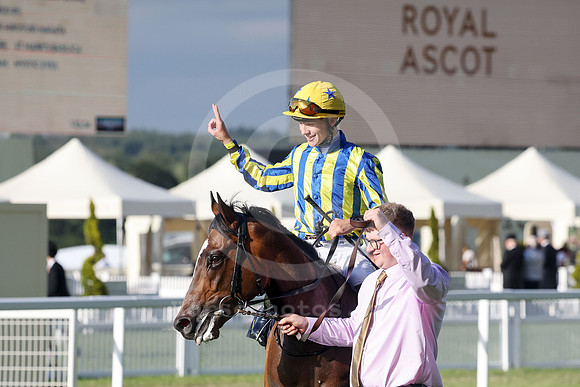 King Of Cloughan 612ROYAL_ASCOT