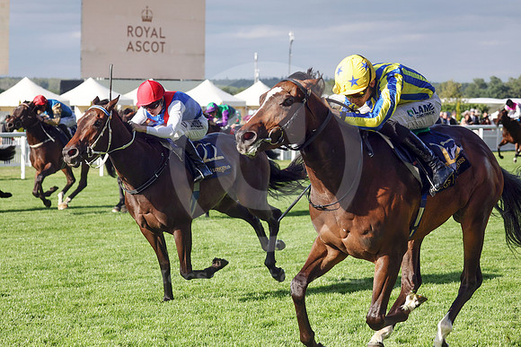 King Of Cloughan 610ROYAL_ASCOT
