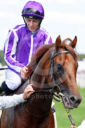 Great Barrier Reef 908ROYAL_ASCOT