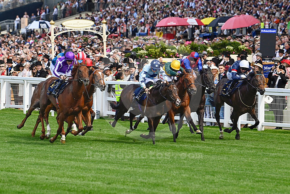 Great Barrier Reef 905ROYAL_ASCOT
