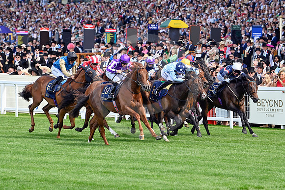 Great Barrier Reef 906ROYAL_ASCOT