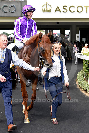 Great Barrier Reef 909ROYAL_ASCOT