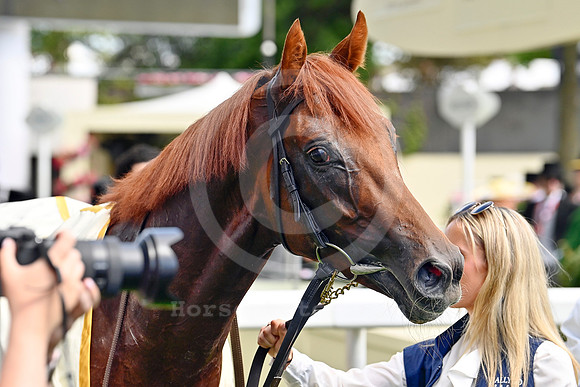 Great Barrier Reef910ROYAL_ASCOT